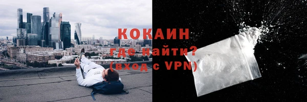 крисы Пересвет
