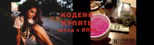 крисы Пересвет