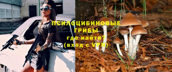стафф Пестово