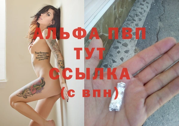 крисы Пересвет