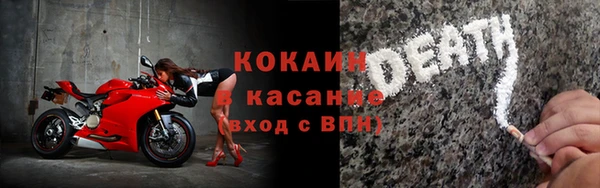 крисы Пересвет