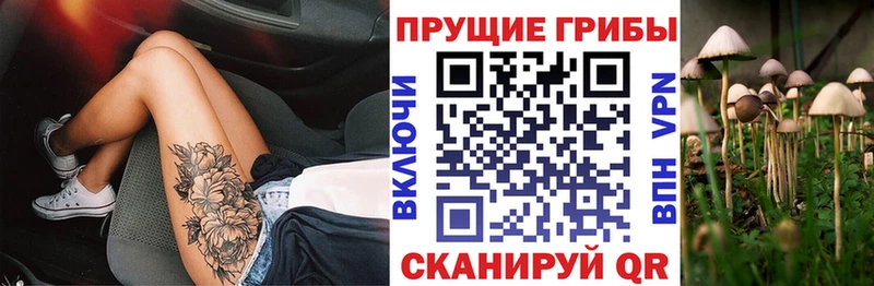shop клад  гидра ссылки  Сортавала  Псилоцибиновые грибы MAGIC MUSHROOMS 